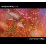 Shamanic Fields