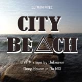WAM pres.The Unknown - City Beach Glauchau Juli 2013