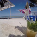 Part 1 Live Set Ark Bar Pool Party (House) 23-09-15