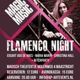 Magic Music Night Maastricht 16-05-2015 (Flamenco)