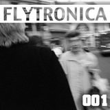 FLYTRONICA 001