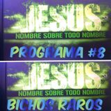 BICHOS RAROS PROGRAMA #8