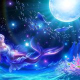 The Moonflight...