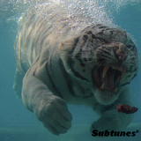 Subtunes (Part 2)