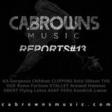 CABROWNS REPORTS#13