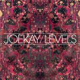 L E V E L S (HW&W)