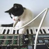 TAKANOME IN THE HOUSE 4