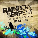 D-sens @ Rainbow Serpent Festival 2013