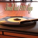 Small last 2011 digs