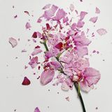 Chris Gallagher - Fragments