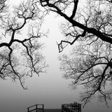 Late Autumn Session