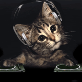 STECKHOUSE BEATS - UPSIDE GROUND (LIVE MIX )