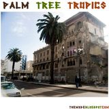 palm tree tropics