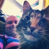 Dr. Strangelove - What I do when I'm not feeding cats mix