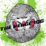 ITK show #1 guest mix - Mimi The Hedgehog "Unperfect Effect Live-Set"