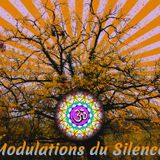 Modulations_du_Silence_1