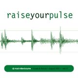 Raise your pulse! Vol 17 -2001