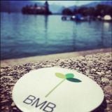 BMB Teaser 2013 Skribble