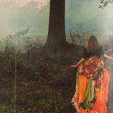 Acid Memories #3