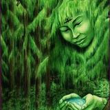 c sharp herbalist