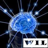 Wil - Mix Elektro 20141002