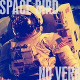 SpaceBirdNoVerb