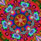 The Psychedelic Shed Radio Show 8