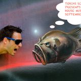 Tobias Schulz - ONE TO 12. HOUSE MUSIC PODCAST "September 2012"