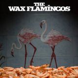 Especial Bandas - The Wax Flamingos - 05 a 10Out