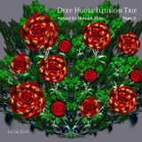 Deep House Illusion Trip (24-06-2014) mixed by Manuel Mess (Part 2,B)