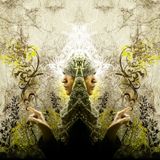 Spectral Reflections