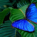 Blue and Green (EpicTrance 138bpm)