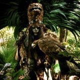 Styx Dj - Forest Calling - Nov 2012