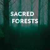 Sacred Forests