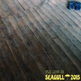 tropical seagull
