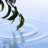 G*SoundFix - NEW BREATH * Sounds Of Nature > 04