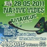 Native Vibes Promo Mix