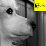Tsumi Sessions #11 : Mark Zowie