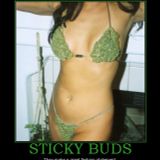 Inspecta Rub - sticky buds