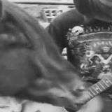 Cheval Radio - 26oct14 - n°92 - Steve Albini