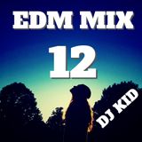 EDM MIX 12