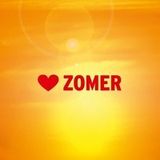 Zomer / Summer 2013