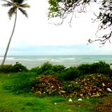 SET PUNTA CANA 000