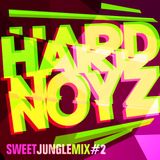 DJ Hardnoyz - Sweet Oldskool Jungle (Pt.2)
