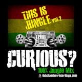 This Is Jungle vol 2 - Curious