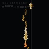A Duck in a Tree 2015-04-25 | An Error in the Azimuth