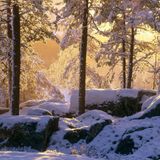 GoeMan- Communicate Winter Sunshine
