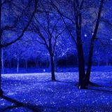 Blue Sequence