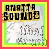 Anatta Sound Meets Tidal Sound - Reggae/Dub/Steppas Vinyl Selection