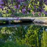 Lloyd Park Summer Chillout (Phlebas mix)